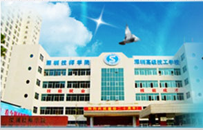 高級技校龍崗校區防雷服務